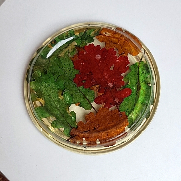 Lucite Fall Leaves Coasters - Picture 4 of 9